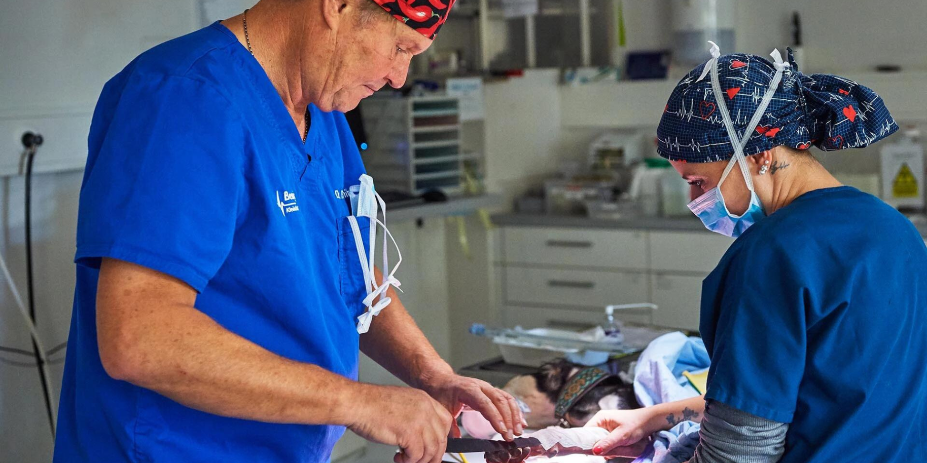 Teaserbild Bessys’s Kleintierklinik AG